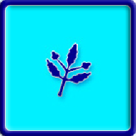 SkyCaptain