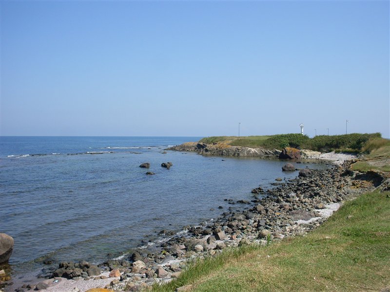 sdc10045proc25.jpg