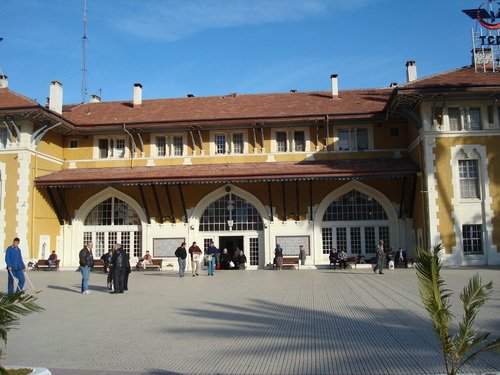8161528.jpg