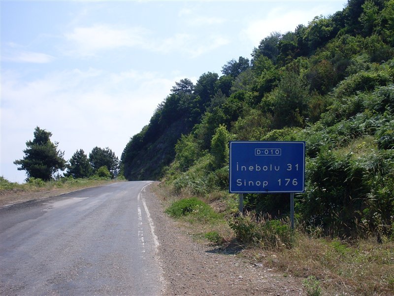 sdc10031proc14.jpg