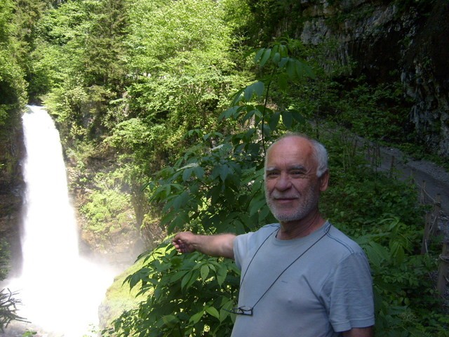 S6302453.jpg
