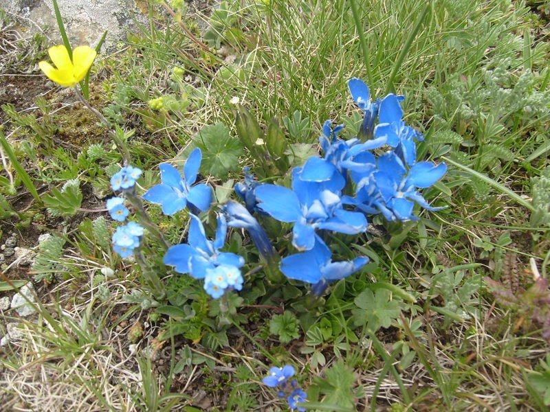 S6302513.jpg