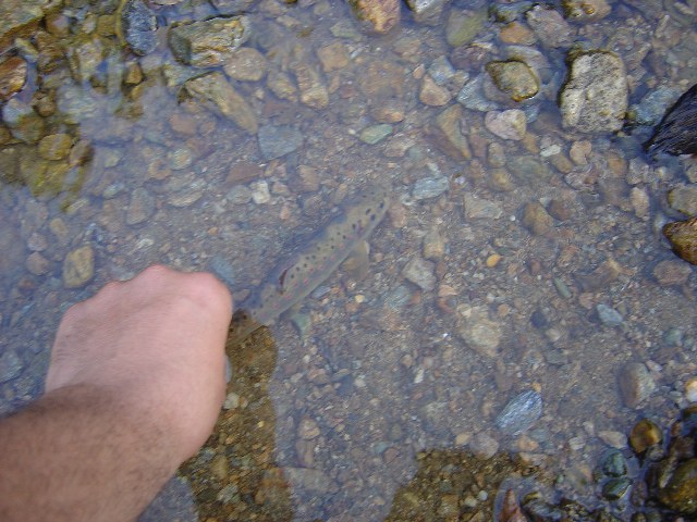 DSC05363.JPG