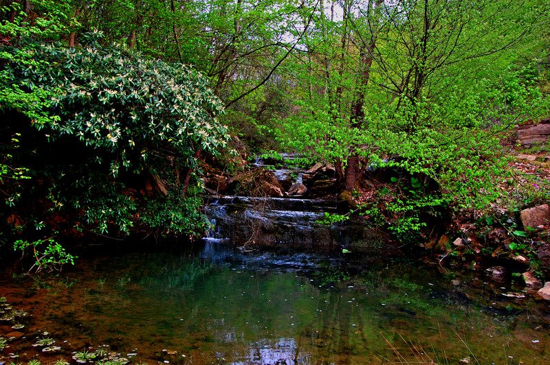 dsc7212a.jpg