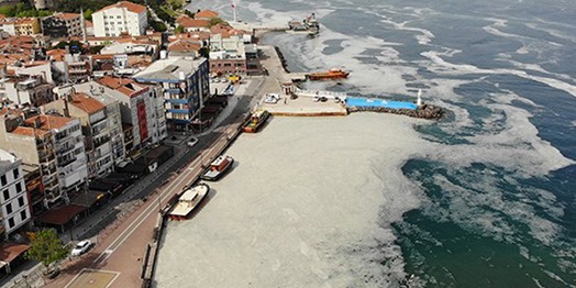 www.birartibir.org