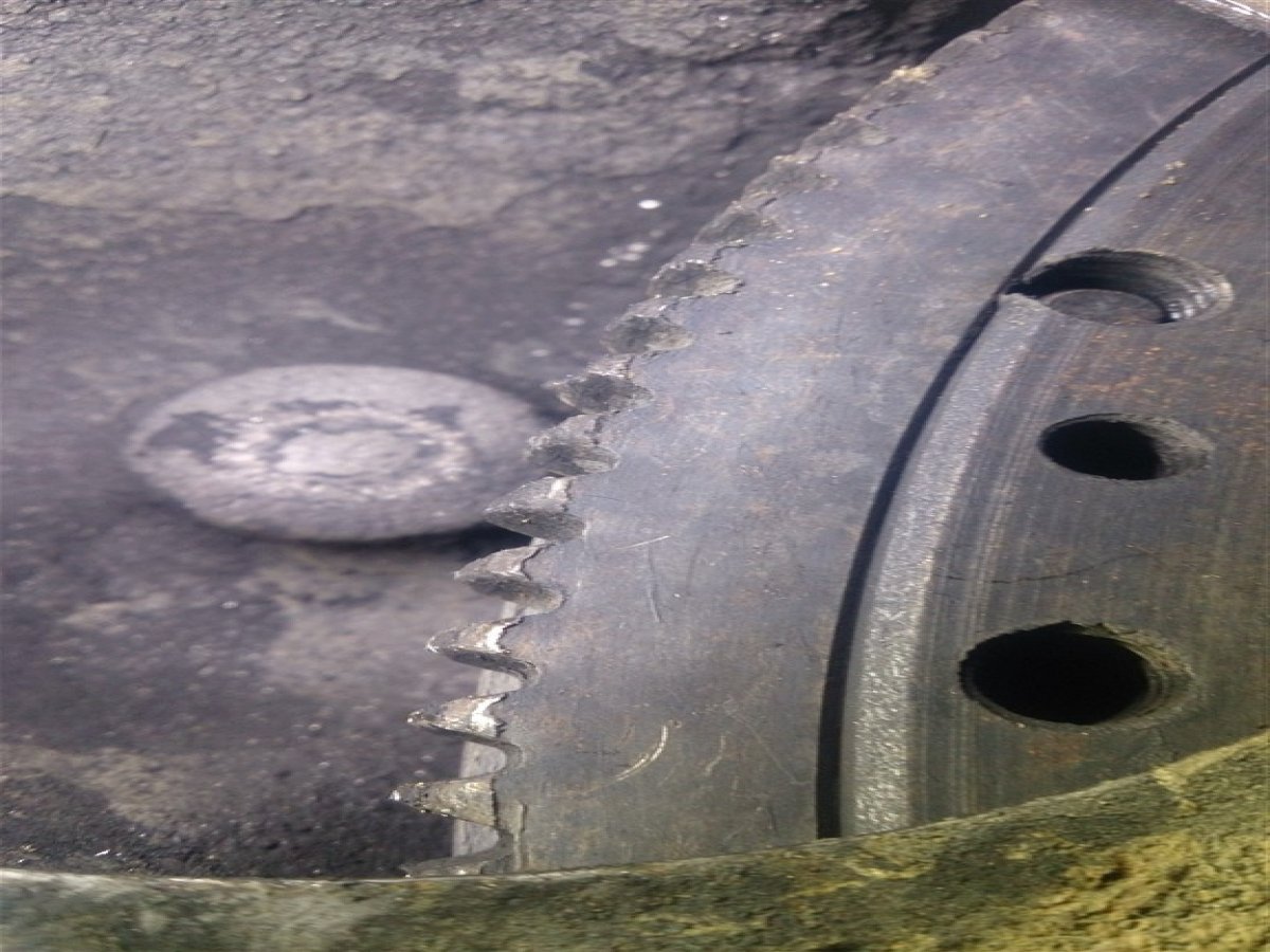 DSC_1632da9d5.jpg