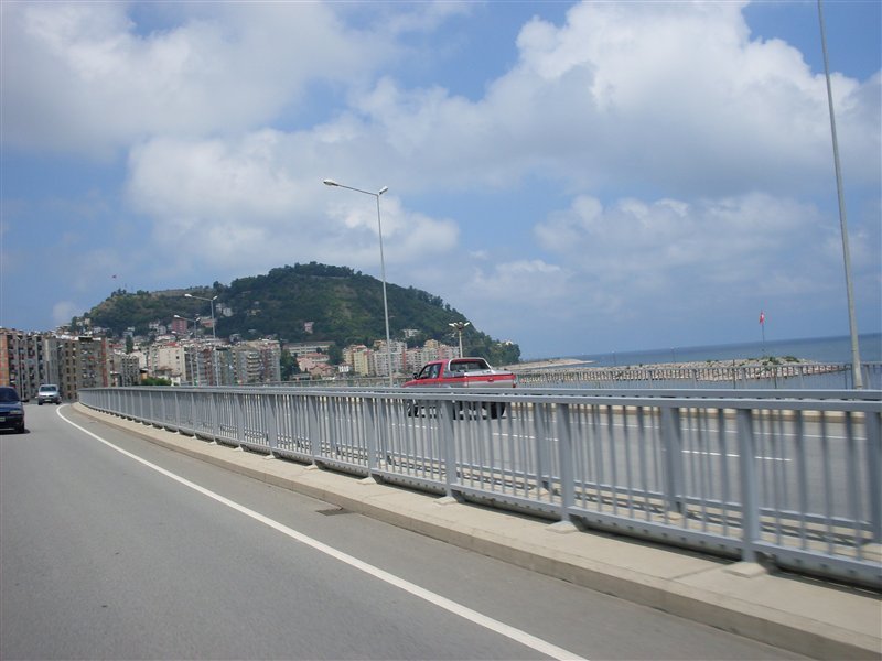 sdc10079proc7.jpg