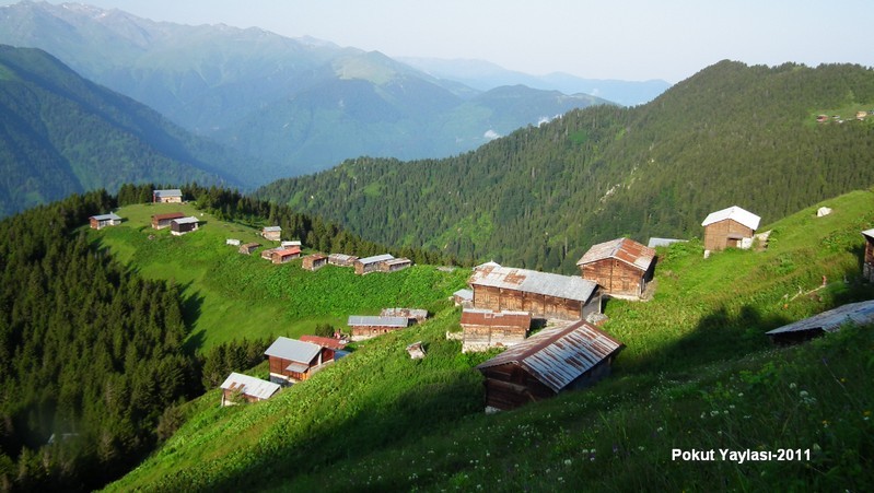 pokut48x6.jpg