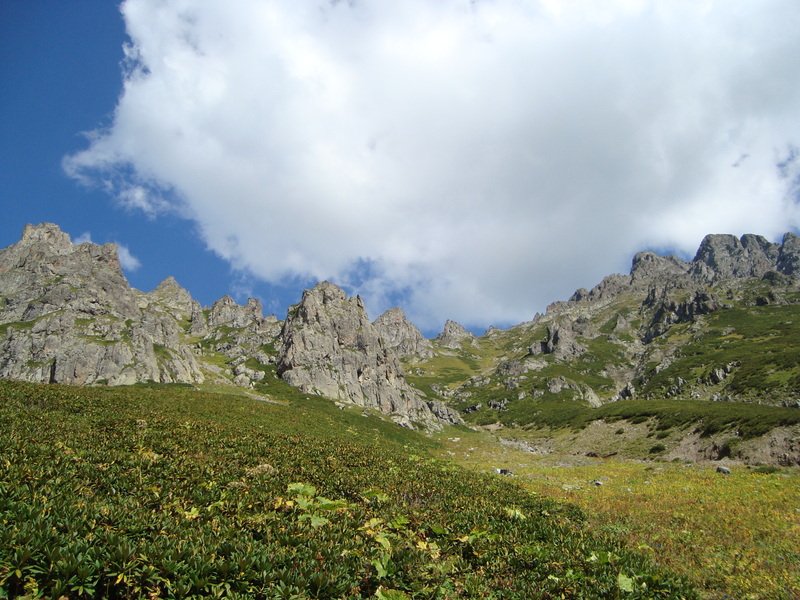 dsc010930.jpg
