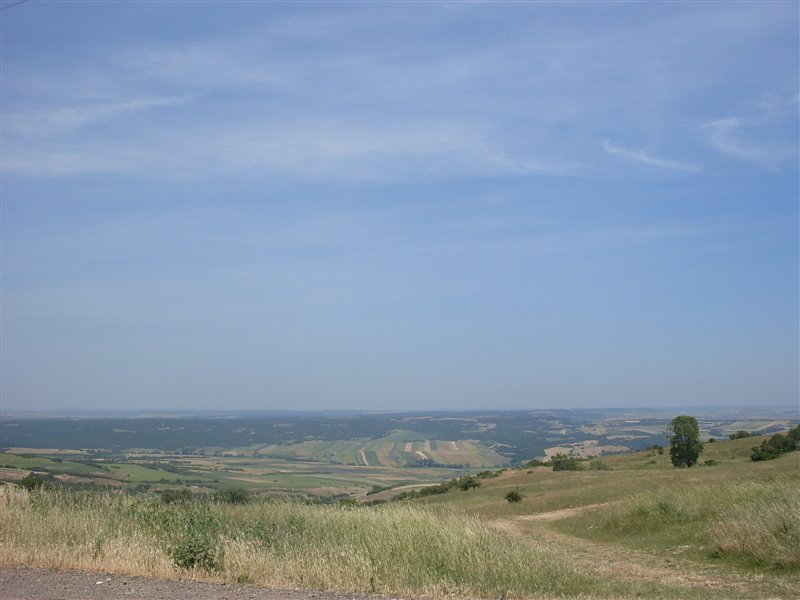 87984349.jpg