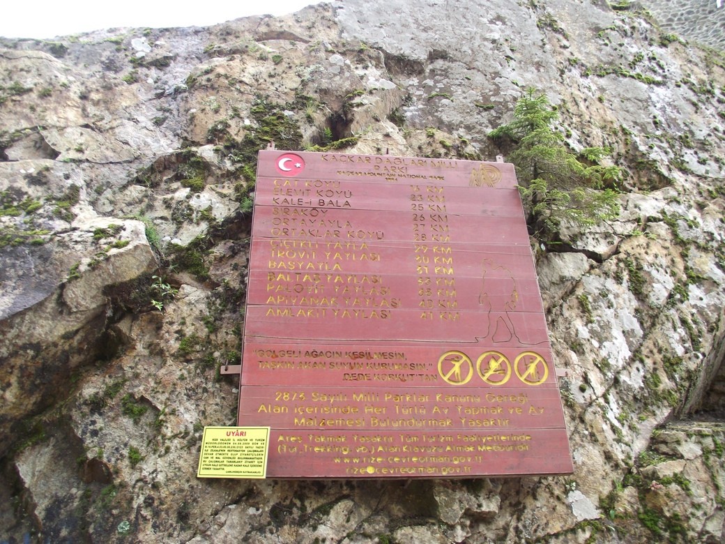 p12Ho.jpg