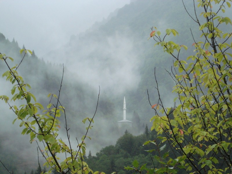 dsc00394gn.jpg