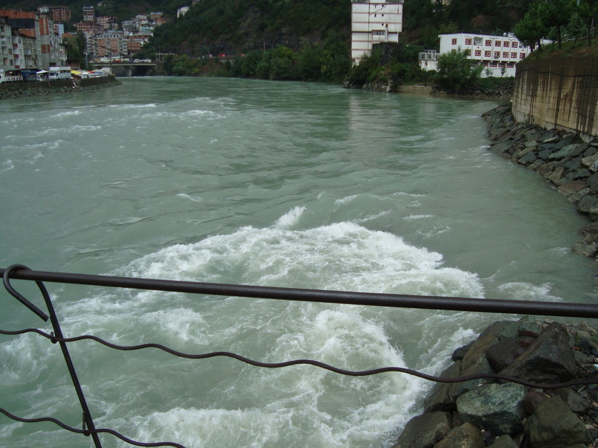 dsc00432lk.jpg
