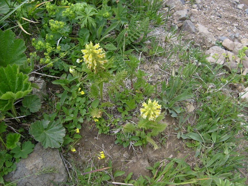 S6302550.jpg