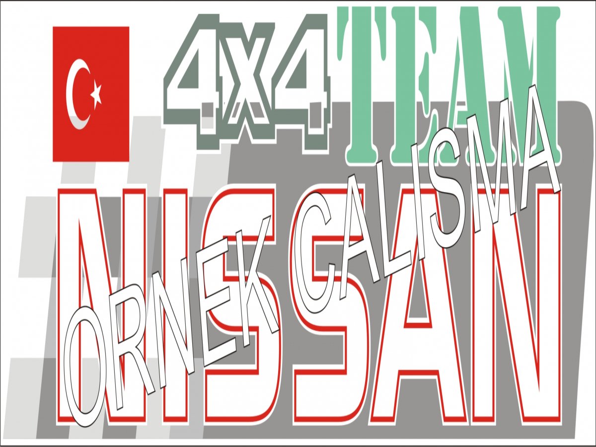 nissanteam.jpg