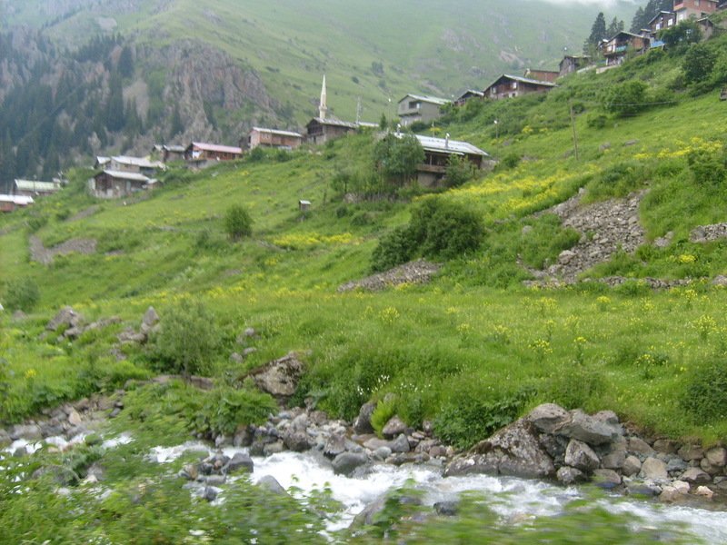 S6302564.jpg