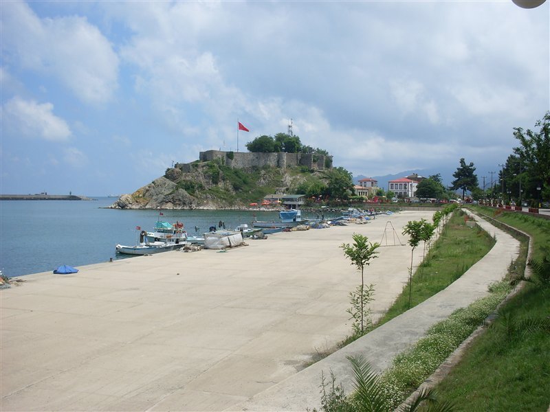 sdc10081proc9.jpg