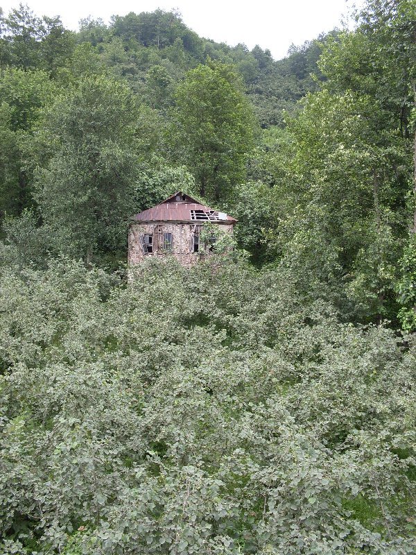 sdc10102proc15.jpg