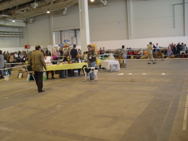 43berlinmeisterschaft20.jpg