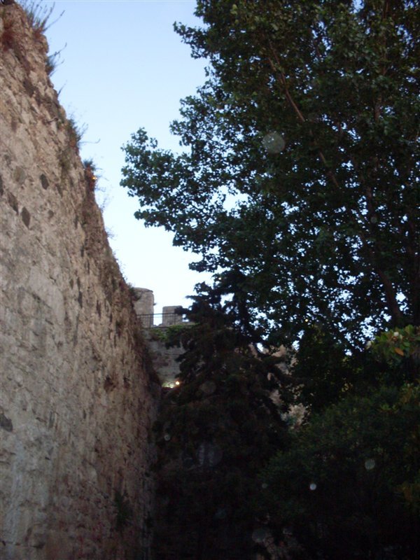 sdc10092proc13.jpg