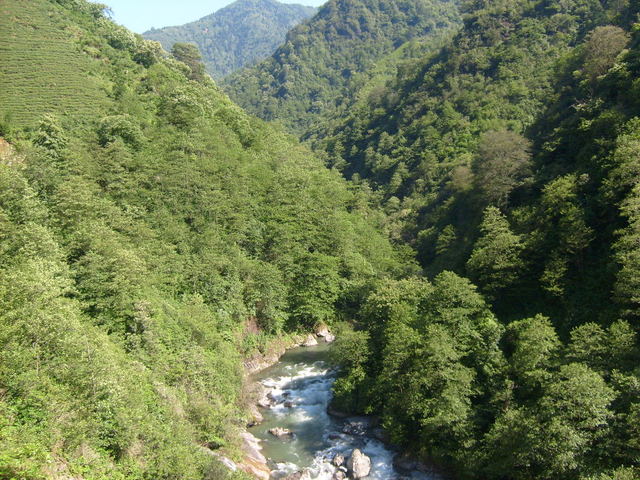 S6302429.jpg
