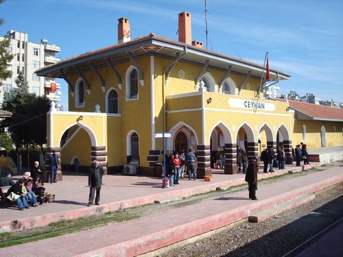 8161653.jpg