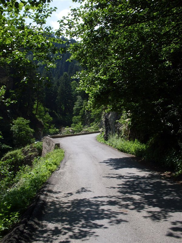 sdc10014proc8.jpg