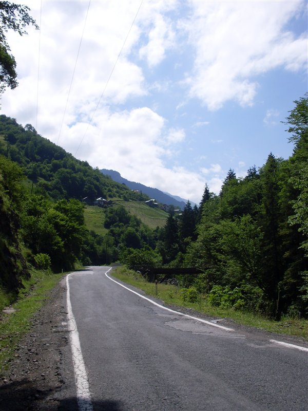 sdc10006proc5.jpg