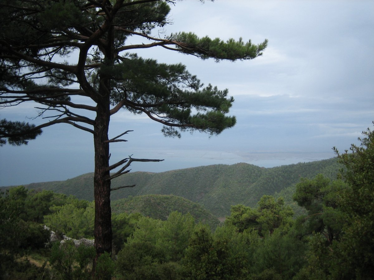 catalkaya025.jpg