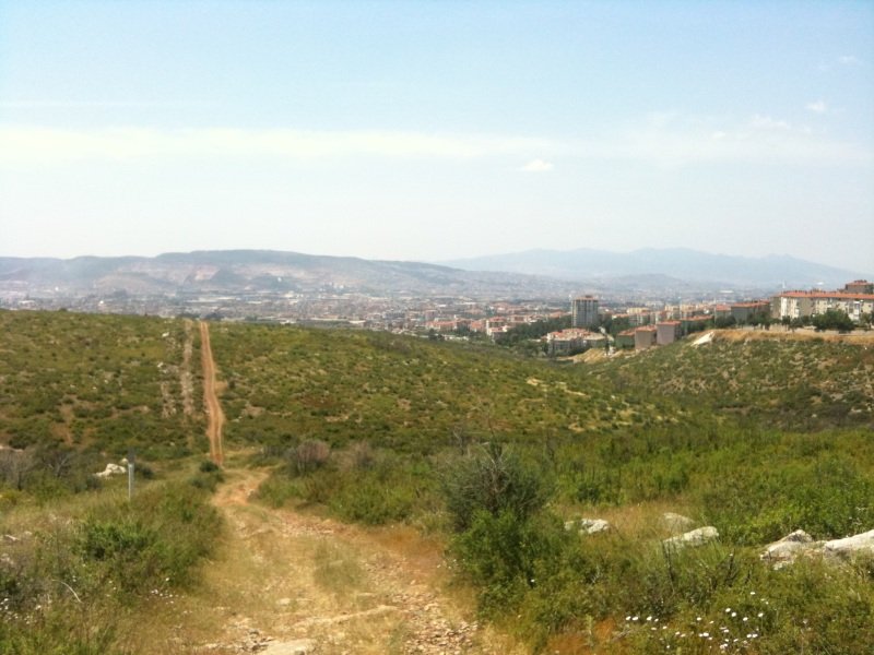 ciceklikoy-08.jpg