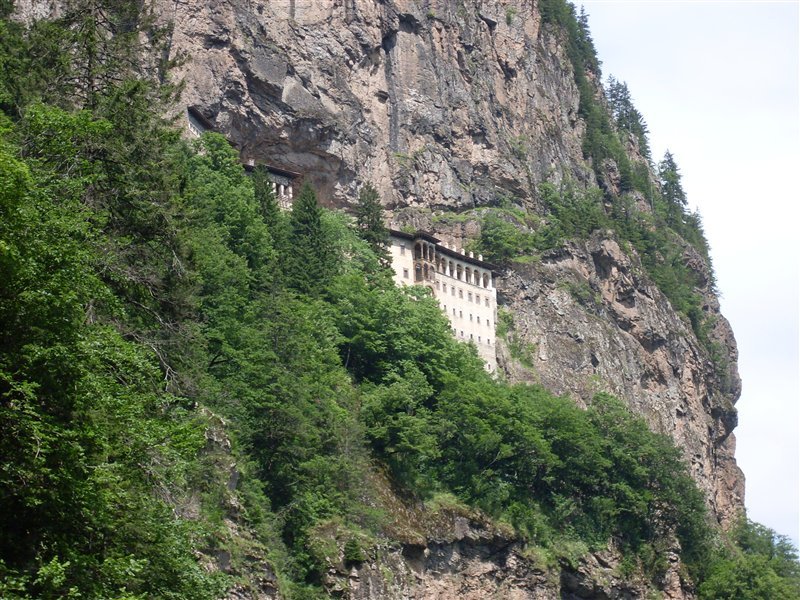 sdc10016proc5.jpg