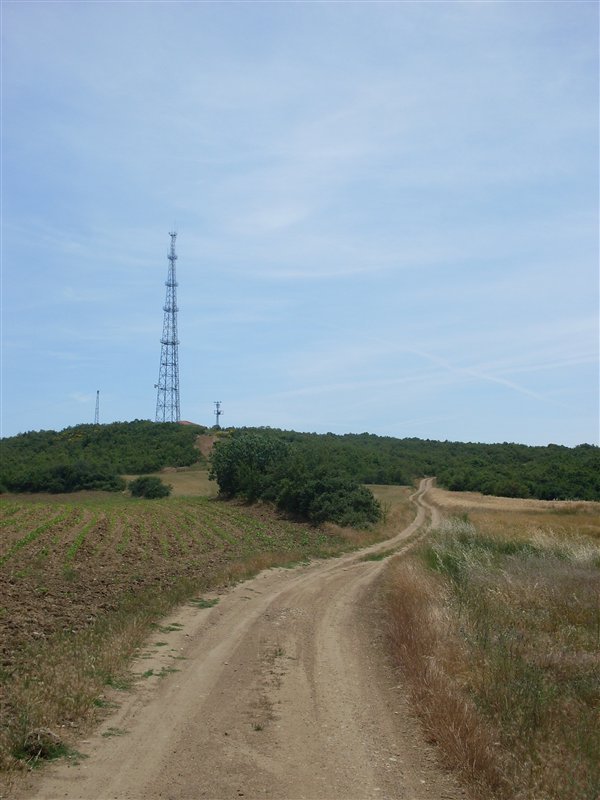 38918209.jpg