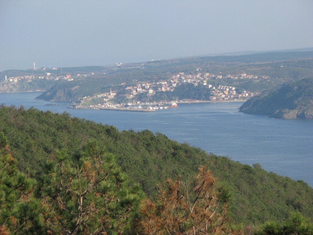 img4199as0.jpg
