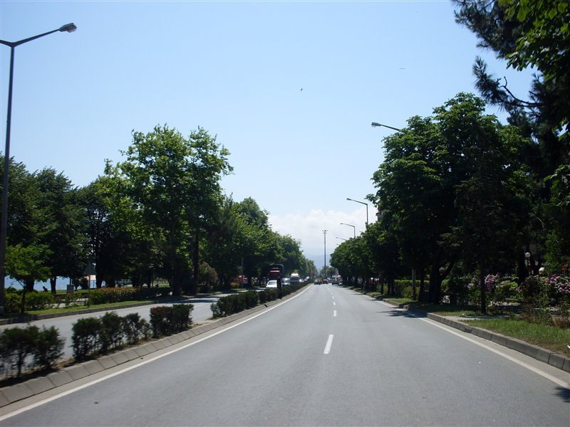 sdc10066proc4.jpg