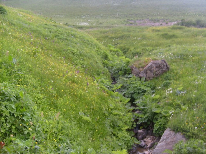 S6302559.jpg