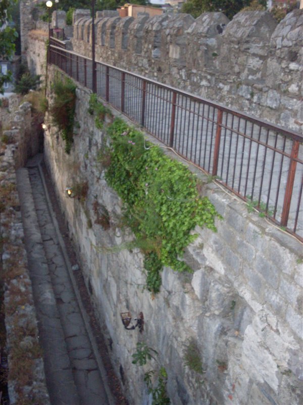sdc10086proc11.jpg