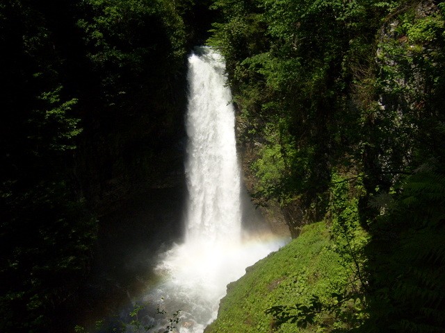 S6302456.jpg