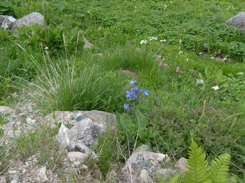 S6302553.jpg