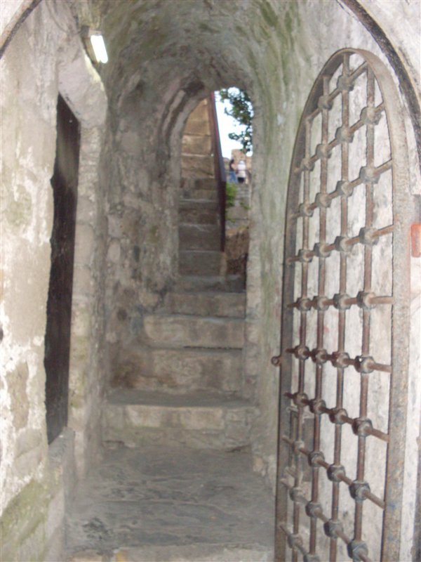 sdc10077proc7.jpg