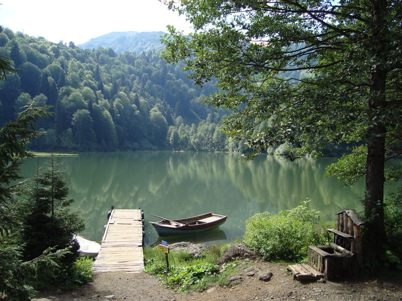 dsc01606m.jpg
