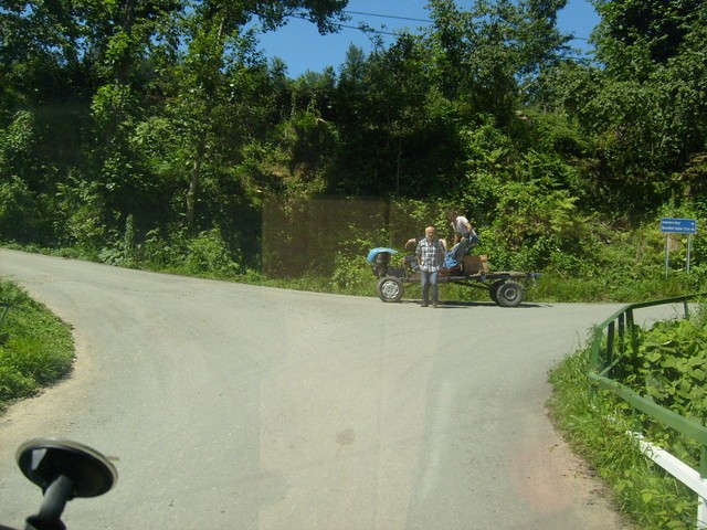 S6302414.jpg
