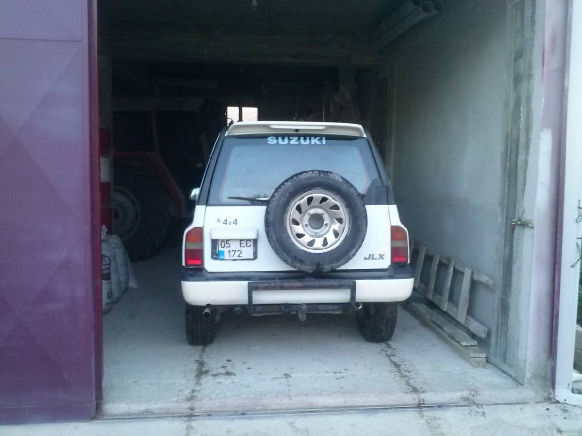 z3l5.jpg