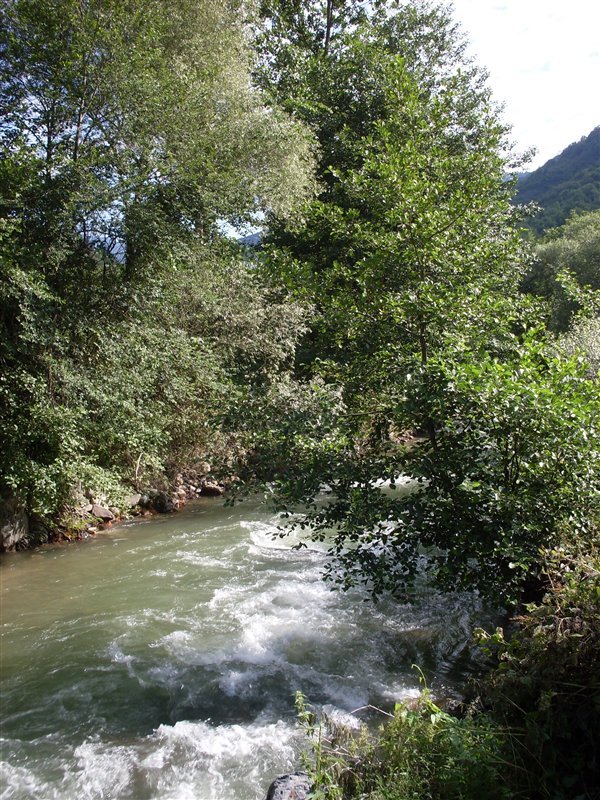 sdc10002proc3.jpg