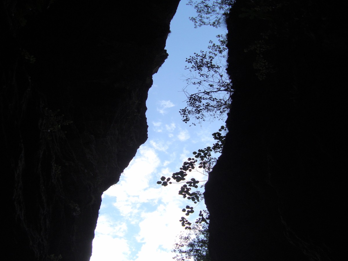 dsc01662b.jpg