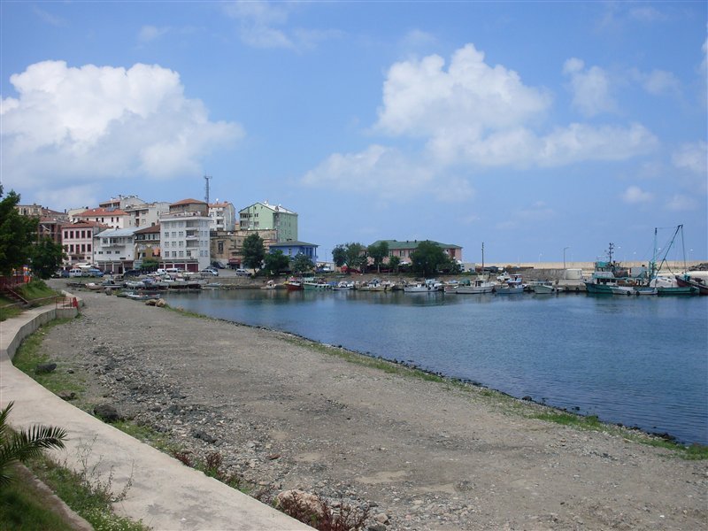sdc10082proc10.jpg