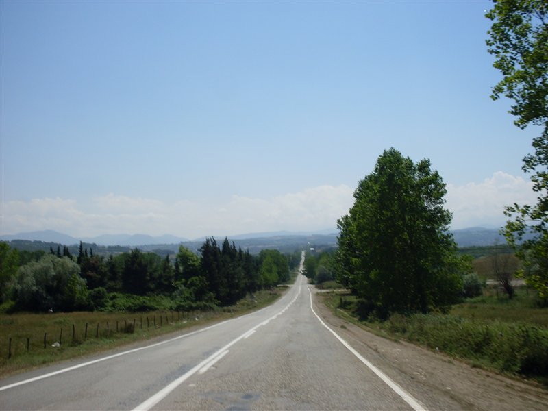 sdc10003proc1.jpg