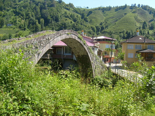 S6302416.jpg