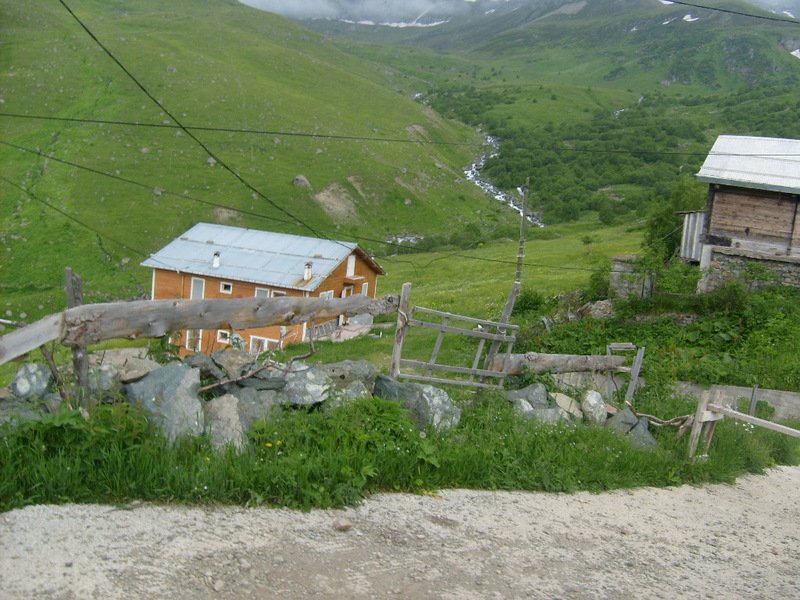 S6302560.jpg