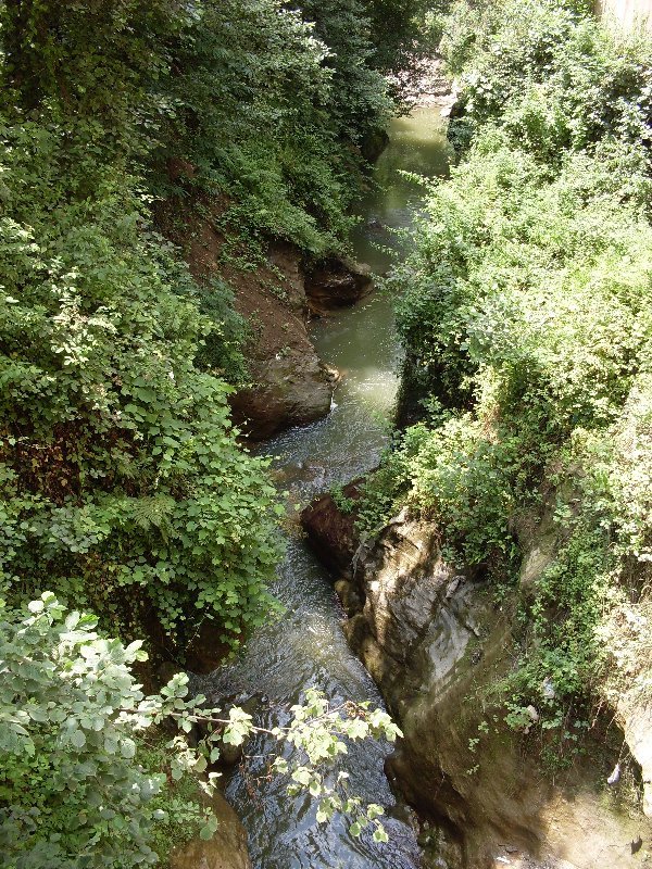 sdc10090proc11.jpg
