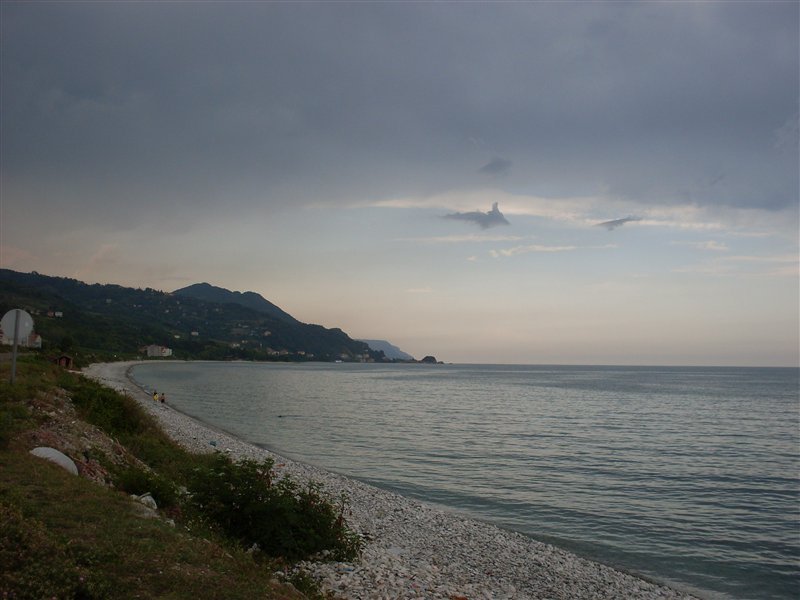sdc10053proc24.jpg